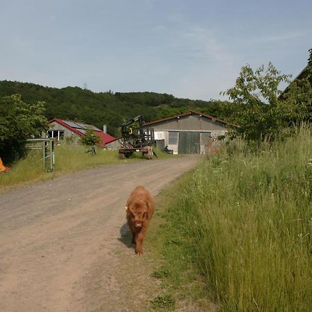 SchalkenbachRech Hof Urlaub Auf Dem Bauernhof公寓 外观 照片