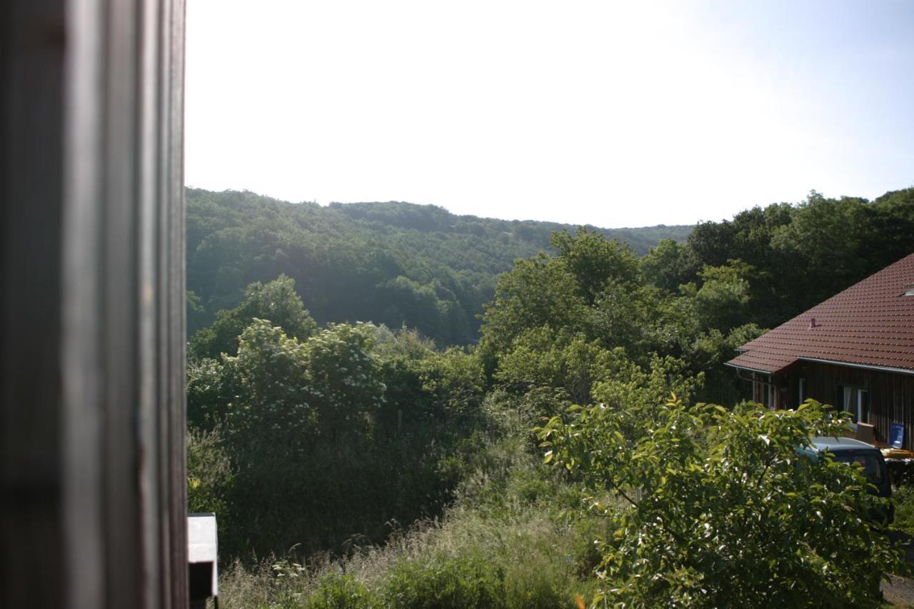 SchalkenbachRech Hof Urlaub Auf Dem Bauernhof公寓 外观 照片