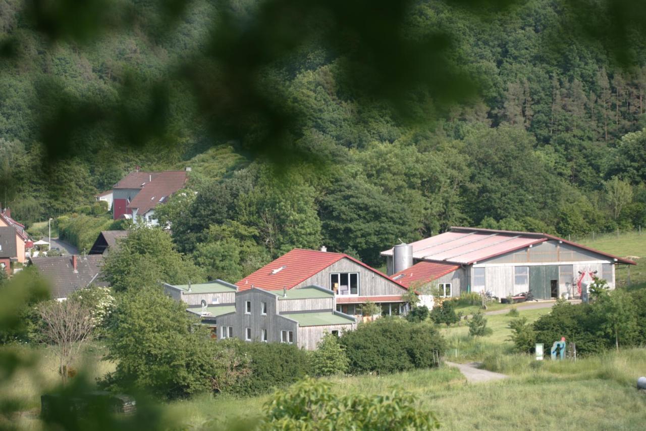 SchalkenbachRech Hof Urlaub Auf Dem Bauernhof公寓 外观 照片