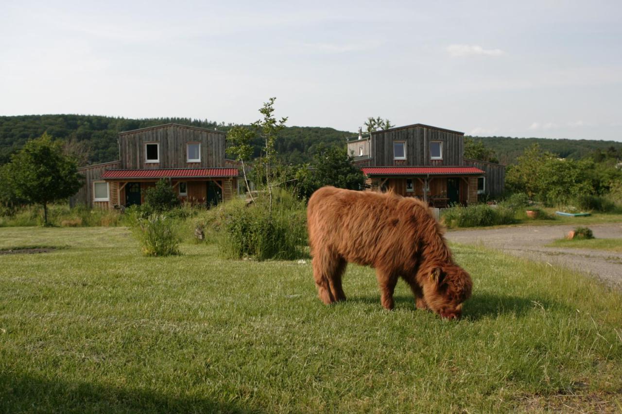 SchalkenbachRech Hof Urlaub Auf Dem Bauernhof公寓 外观 照片