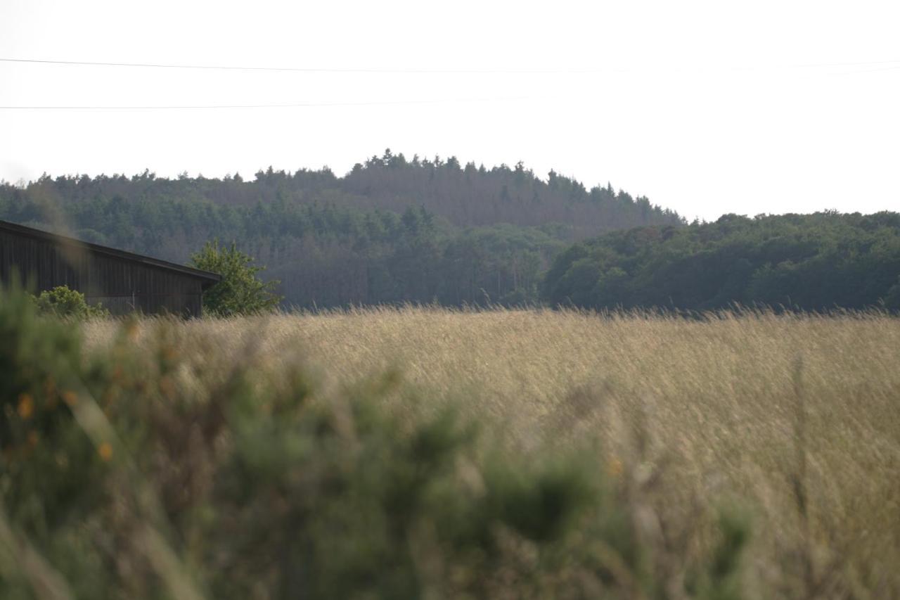 SchalkenbachRech Hof Urlaub Auf Dem Bauernhof公寓 外观 照片