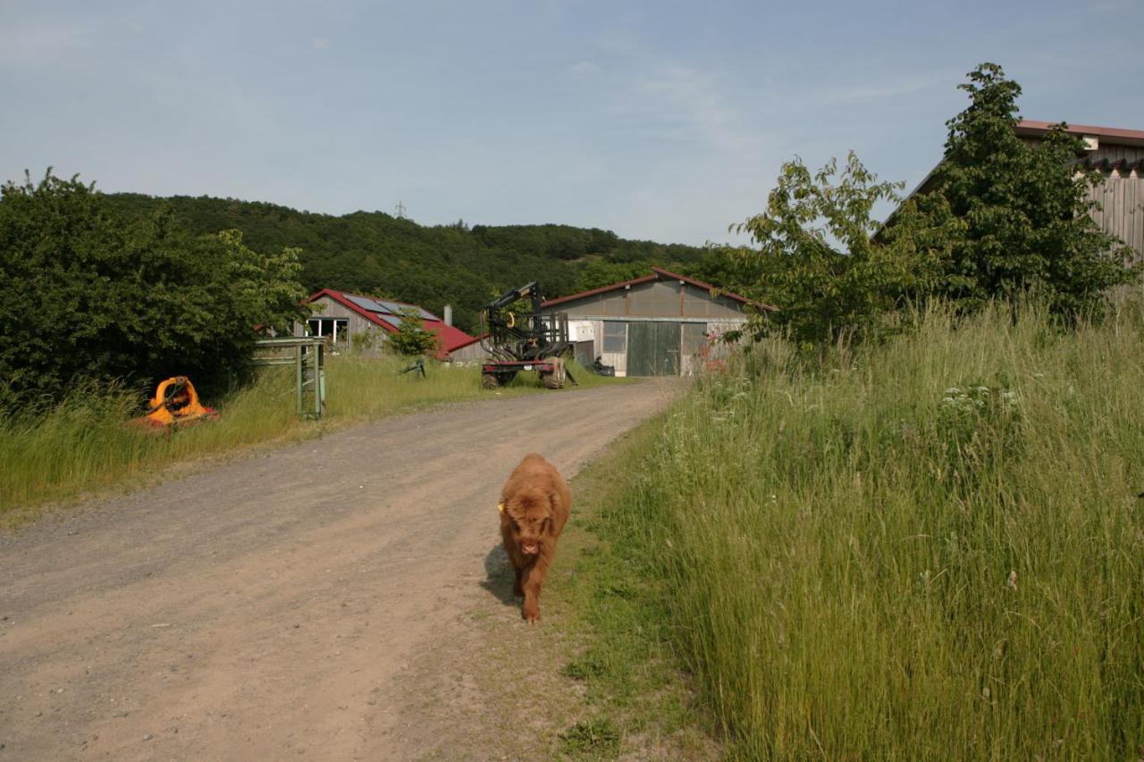 SchalkenbachRech Hof Urlaub Auf Dem Bauernhof公寓 外观 照片