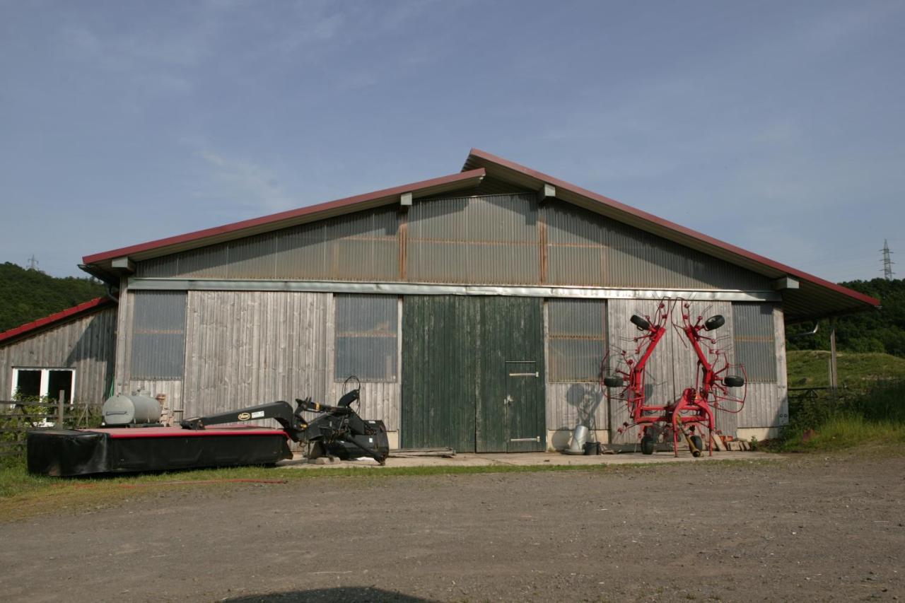 SchalkenbachRech Hof Urlaub Auf Dem Bauernhof公寓 外观 照片