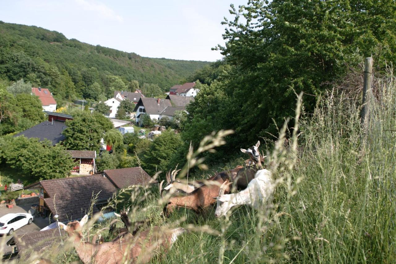 SchalkenbachRech Hof Urlaub Auf Dem Bauernhof公寓 外观 照片