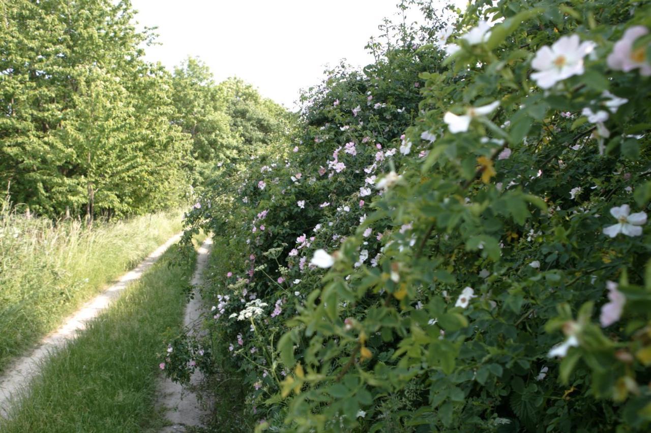 SchalkenbachRech Hof Urlaub Auf Dem Bauernhof公寓 外观 照片